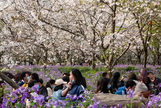China Coronavirus Daily Life