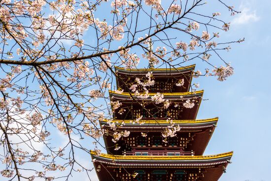 China Coronavirus Daily Life