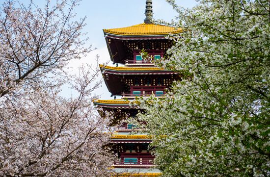 China Coronavirus Daily Life