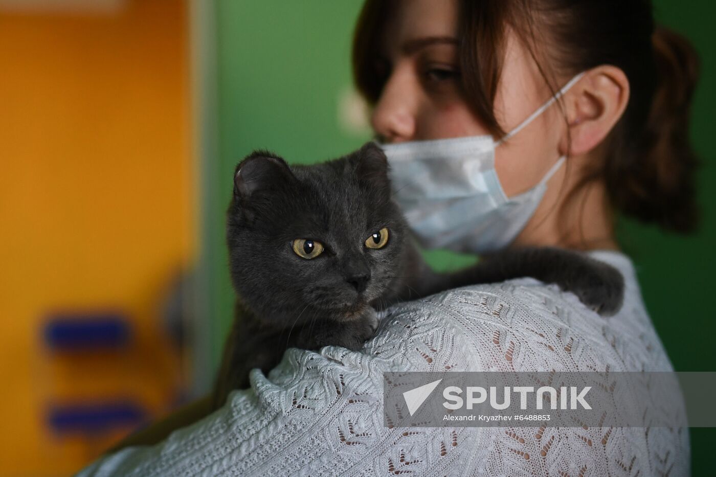 Russia Animals Veterinary Clinic