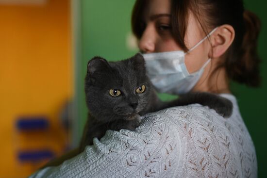 Russia Animals Veterinary Clinic