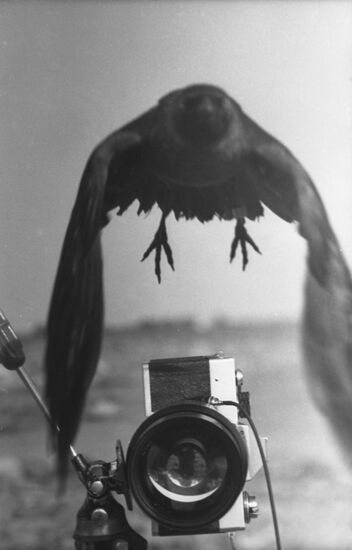 "Memento picture" by Vyacheslav Bobkov