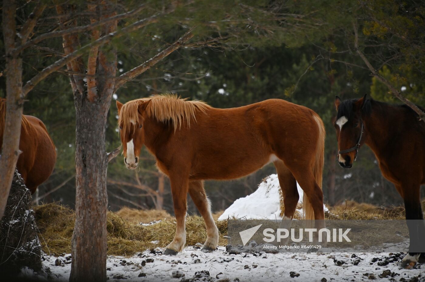 Russia Country