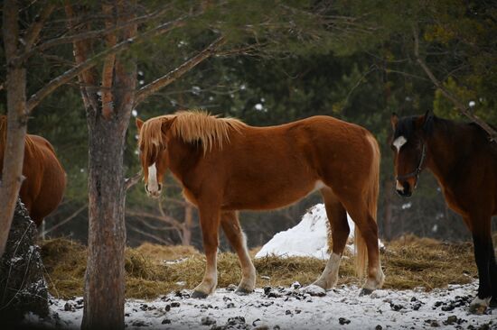 Russia Country