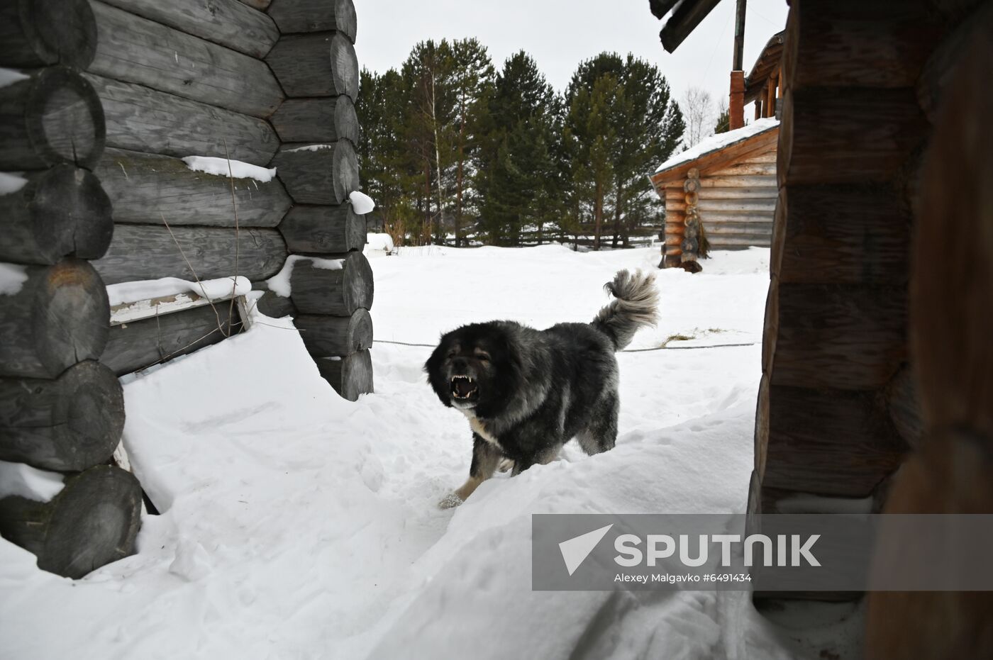 Russia Country