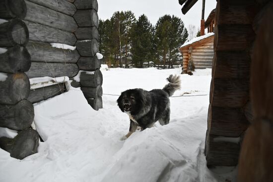 Russia Country