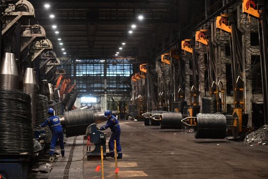 Russia Metalware Plant
