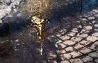 Peter and Paul's Cathedral of the Petropavlovskaya fortress reflects in a puddle on a sunny spring day, in St.Petersburg, Russia. Location: Russia, St. Petersburg. Author: Alexei Danichev. Russia Spring