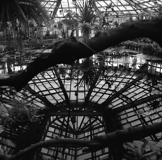 Botanical Garden of the USSR Academy of Sciences