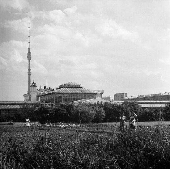 Botanical Garden of the USSR Academy of Sciences