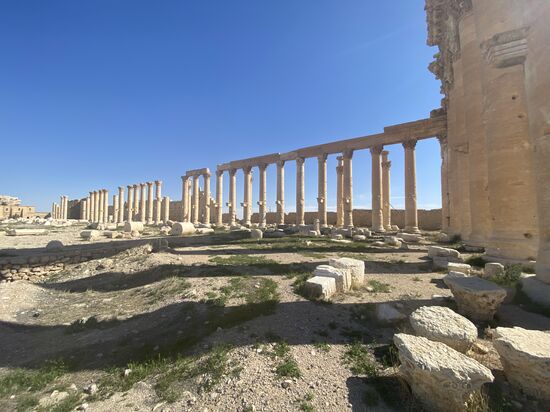 Syria Daily Life