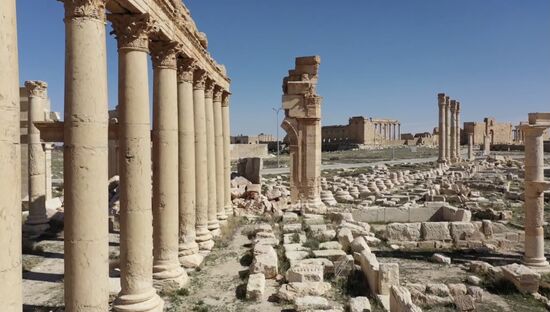Syria Daily Life