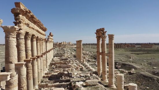 Syria Daily Life