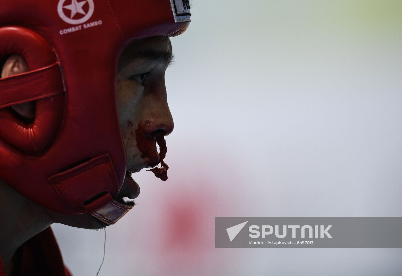 Russia Sambo World Cup