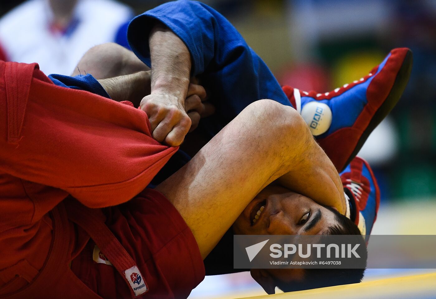 Russia Sambo World Cup