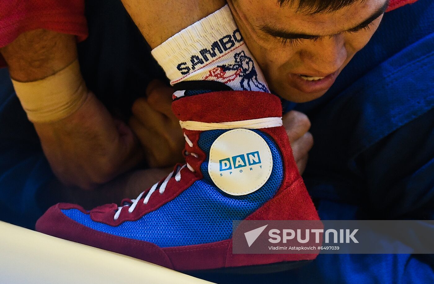 Russia Sambo World Cup