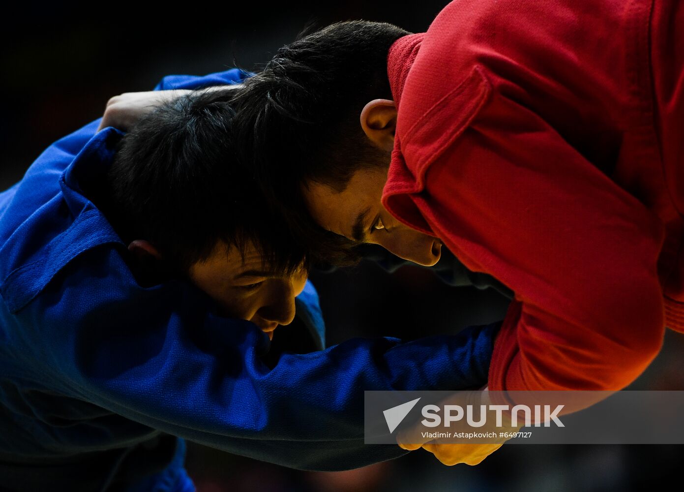 Russia Sambo World Cup