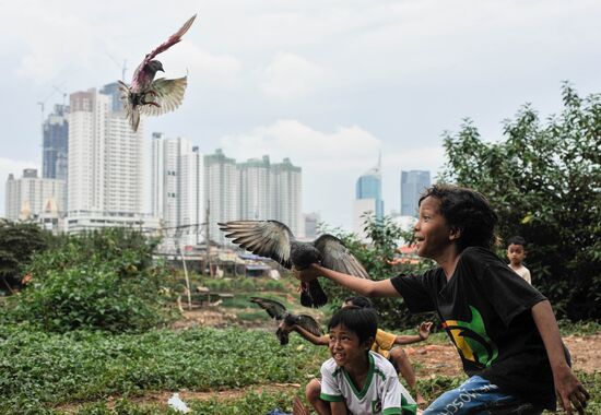 Indonesia Daily Life