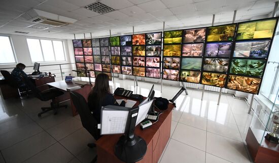 Russia Penal Colony