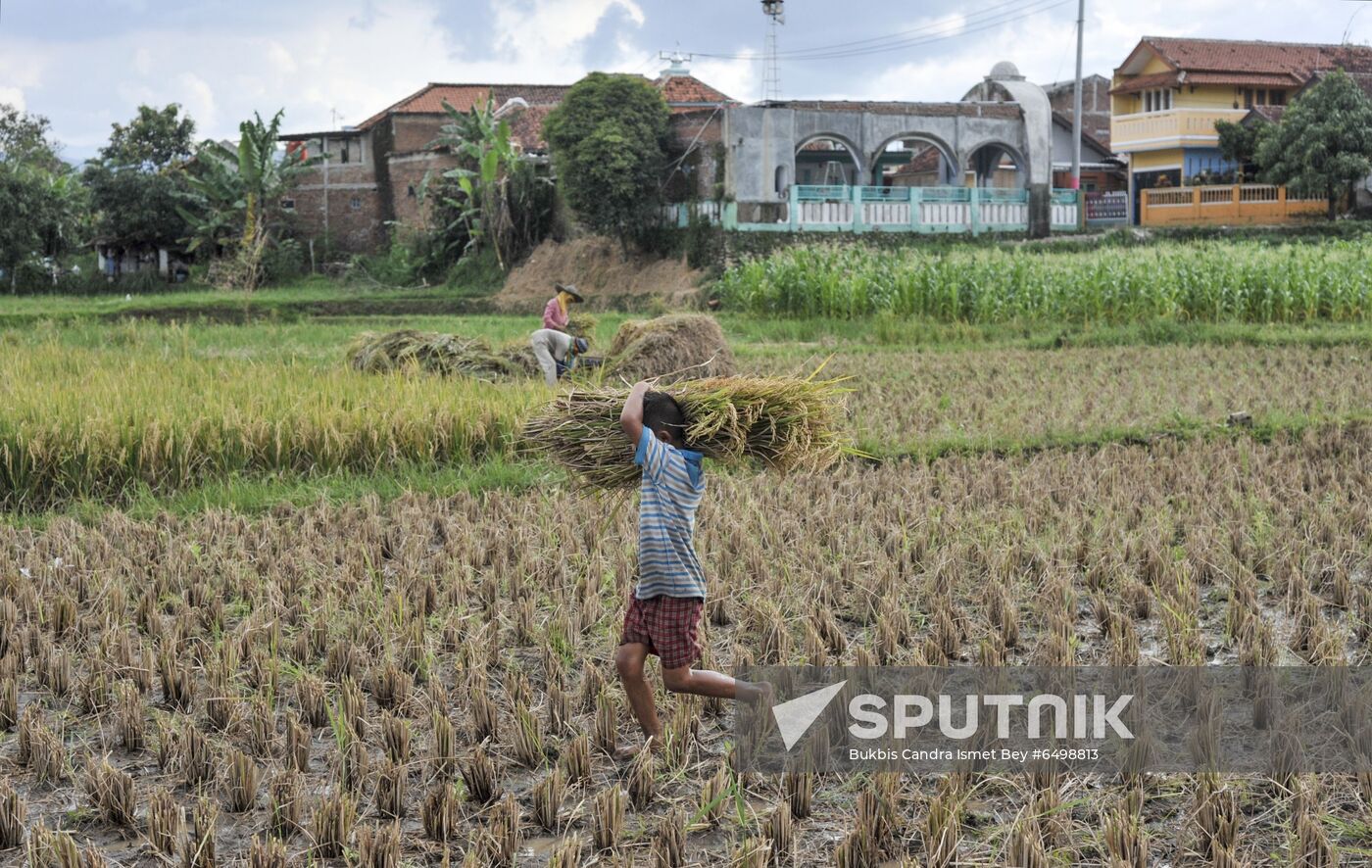 Indonesia Daily Life