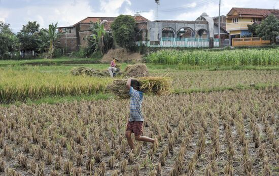 Indonesia Daily Life