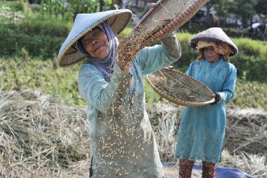 Indonesia Daily Life