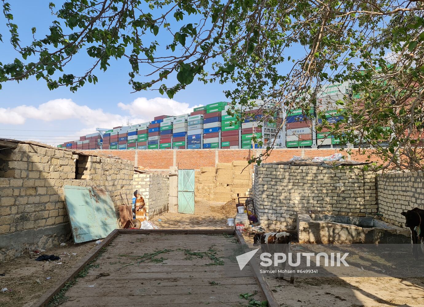 Egypt Suez Canal Traffic Blockade