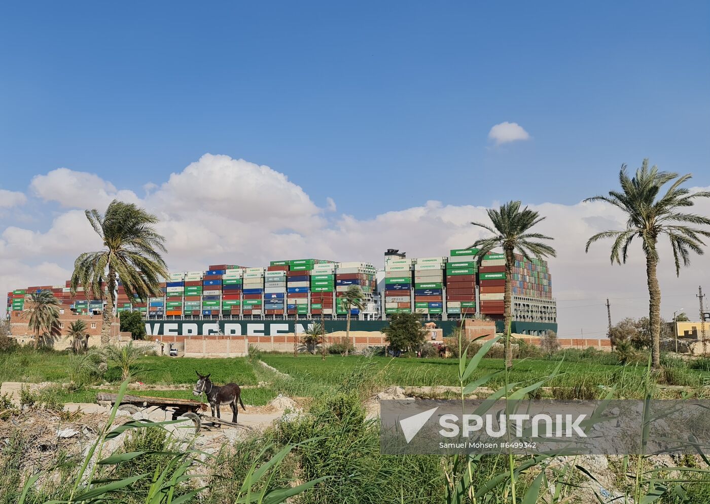 Egypt Suez Canal Traffic Blockade