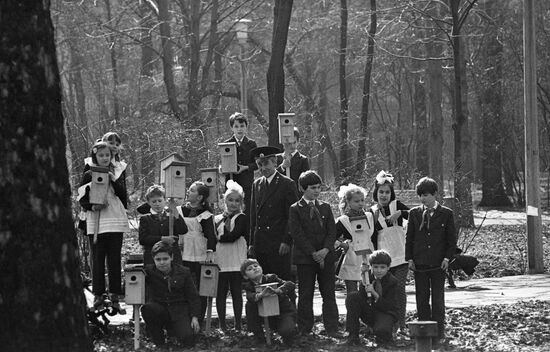 Tree and shrub planting in Kiev