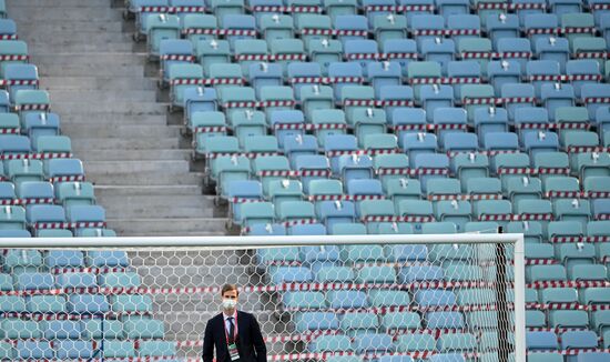 Russia Soccer World Cup Qualifiers Russia - Slovenia