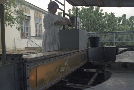 Kara Dag Branch of Ukrainian Academy of Sciences' Institute of Southern Seas Biology