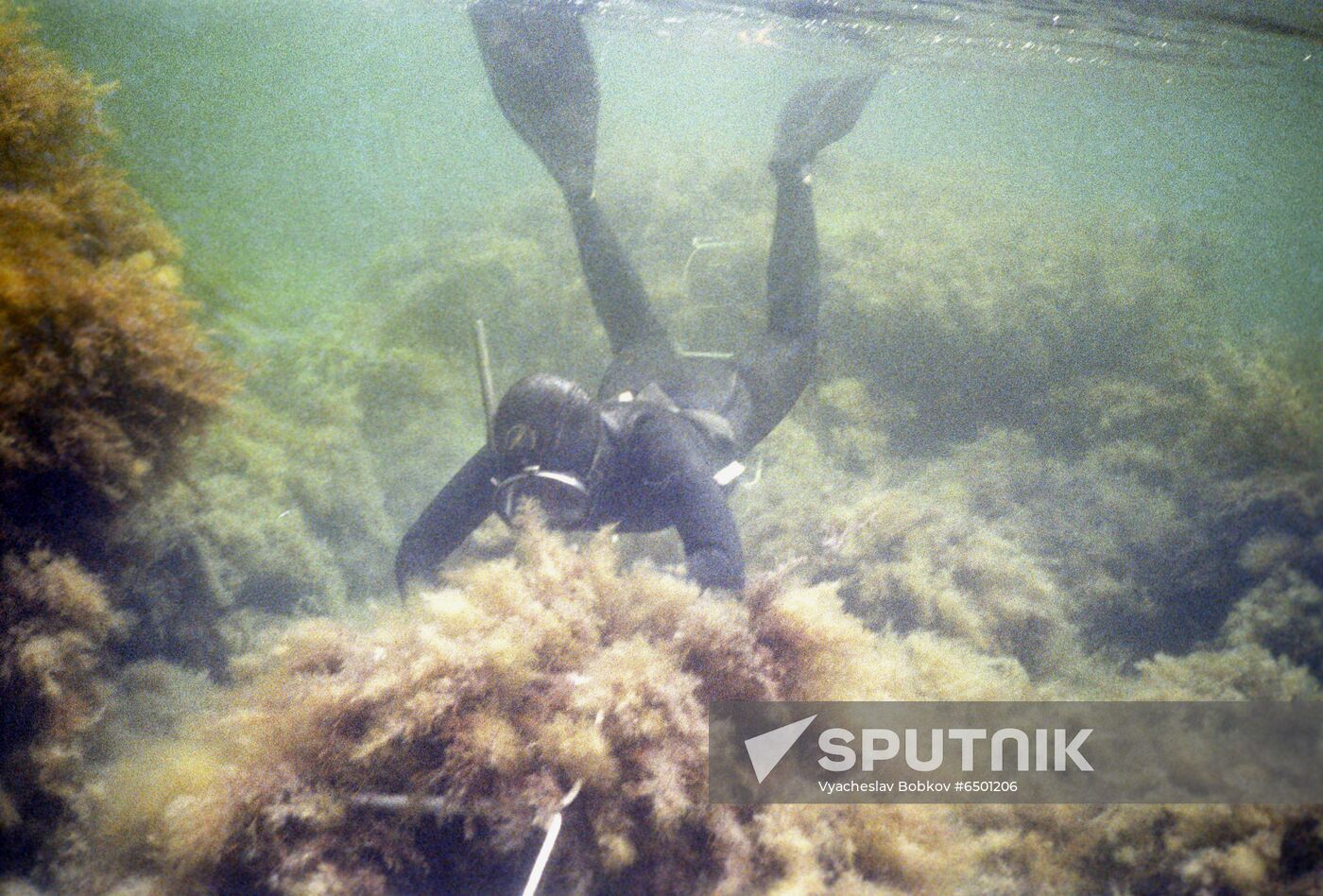 Kara Dag Branch of Ukrainian Academy of Sciences' Institute of Southern Seas Biology