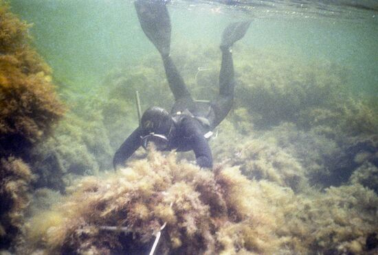 Kara Dag Branch of Ukrainian Academy of Sciences' Institute of Southern Seas Biology