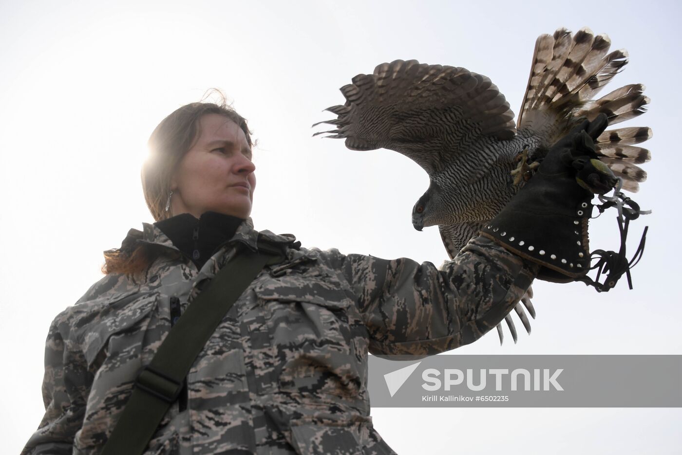 Russia Airport Ornithological Service