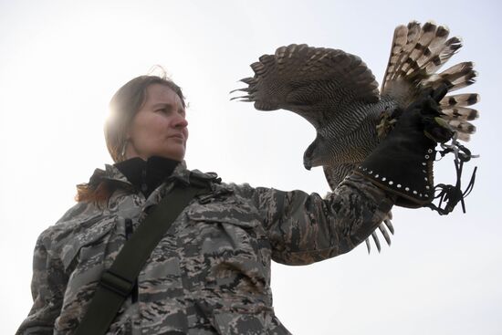 Russia Airport Ornithological Service