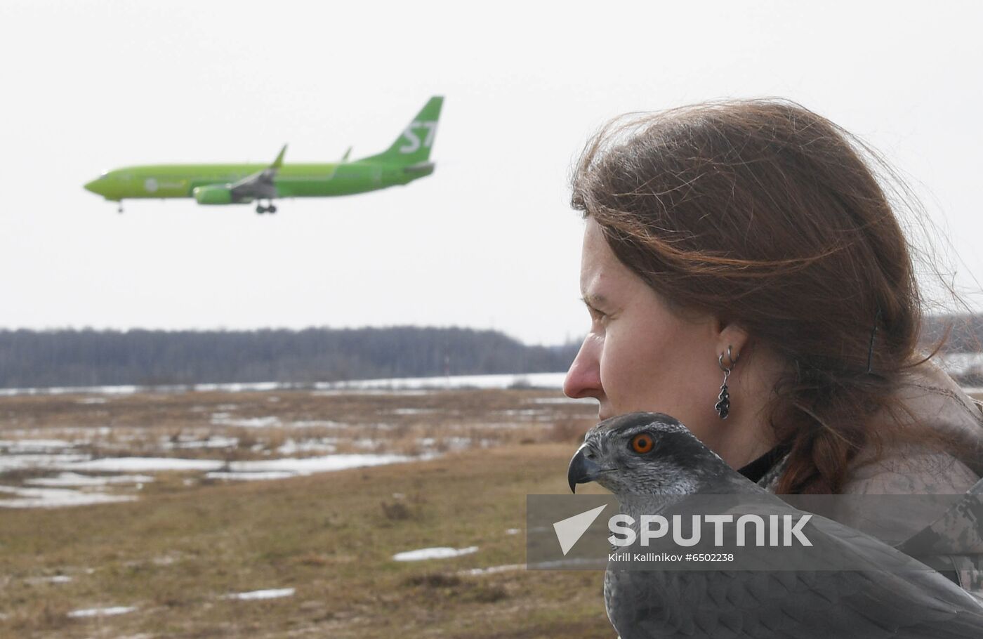 Russia Airport Ornithological Service