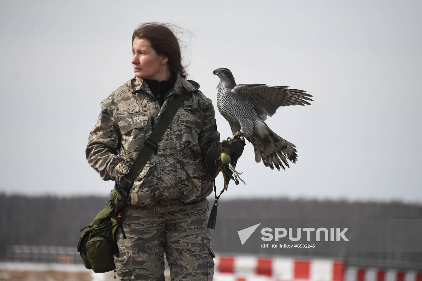 Russia Airport Ornithological Service