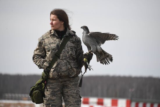 Russia Airport Ornithological Service