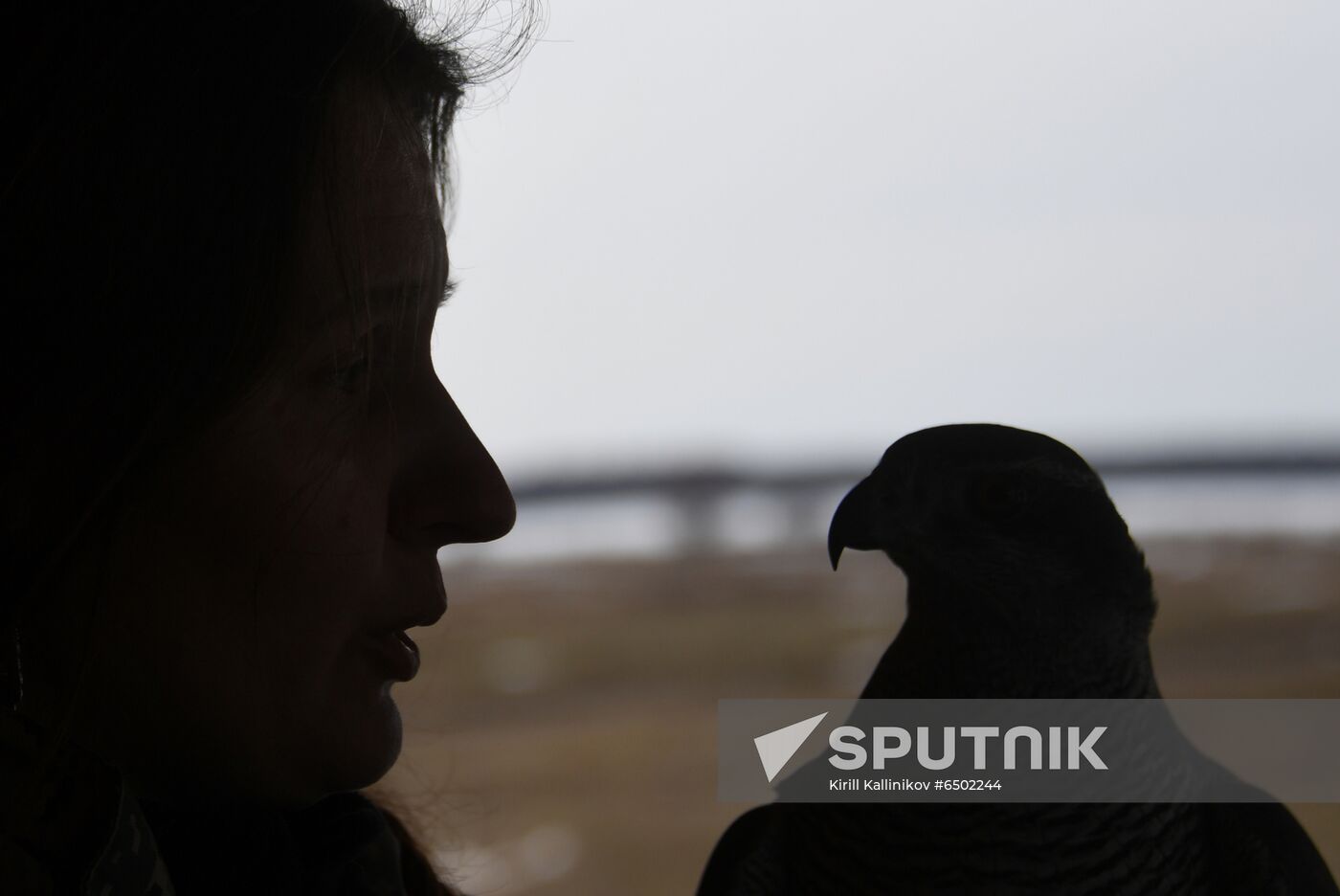 Russia Airport Ornithological Service