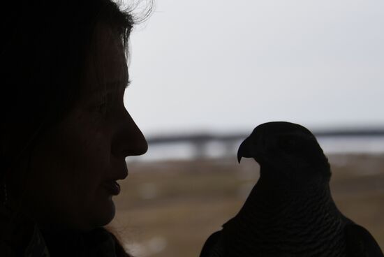 Russia Airport Ornithological Service