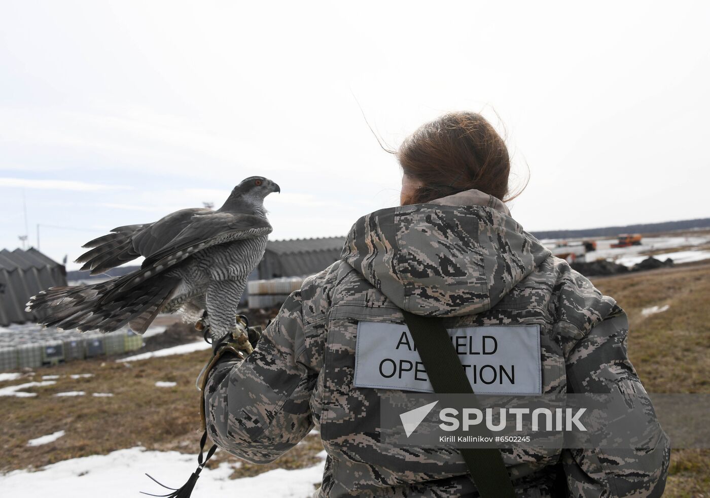 Russia Airport Ornithological Service