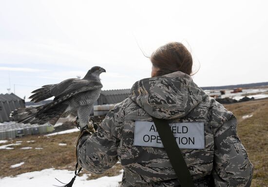 Russia Airport Ornithological Service