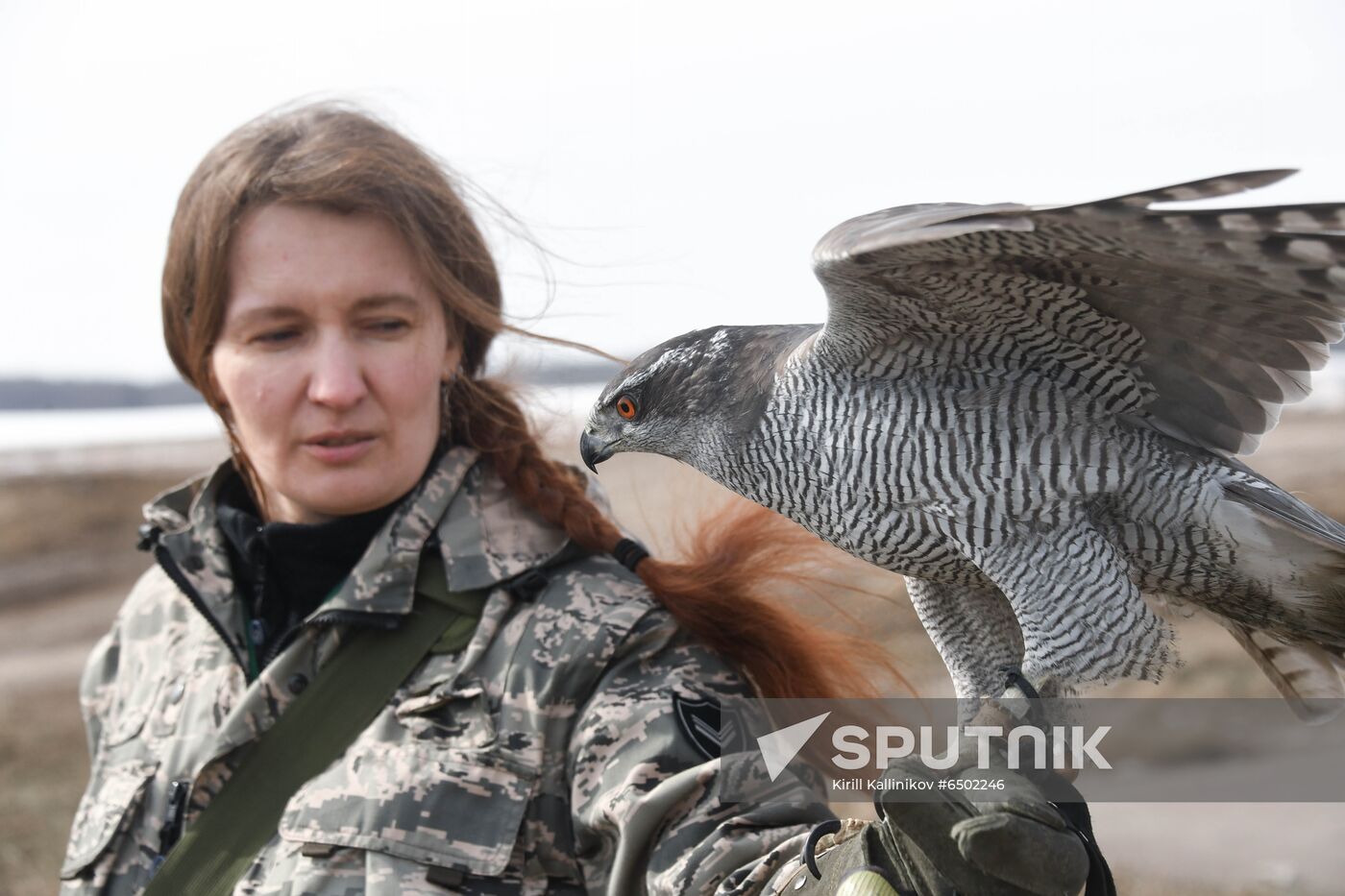 Russia Airport Ornithological Service