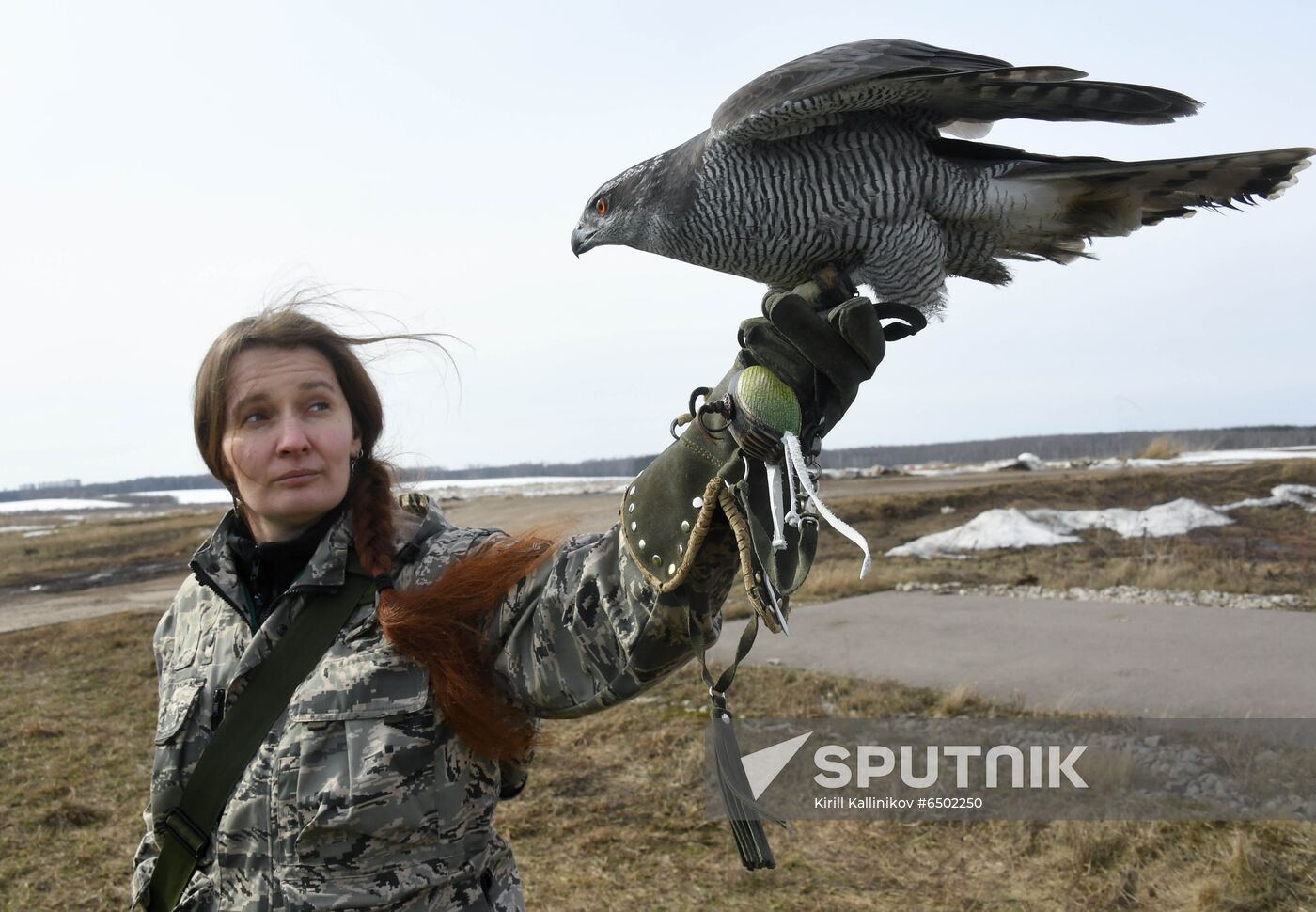 Russia Airport Ornithological Service