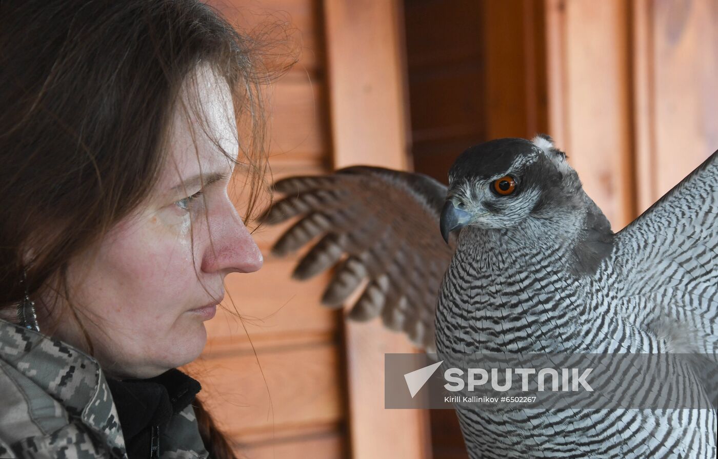 Russia Airport Ornithological Service