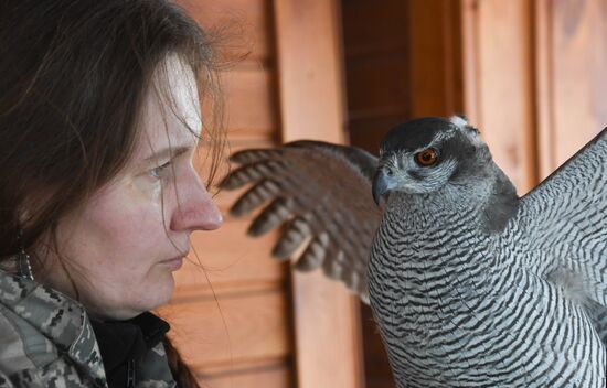 Russia Airport Ornithological Service