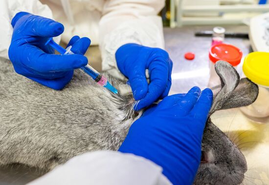 Russia Coronavirus Animals Vaccine