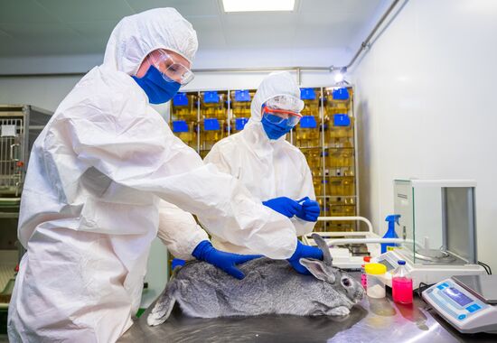 Russia Coronavirus Animals Vaccine