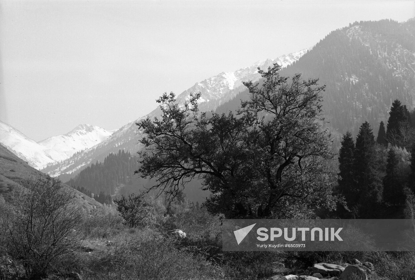 Almaty natural reserve