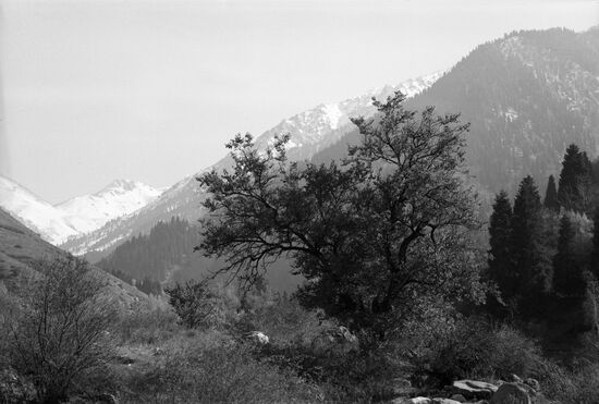 Almaty natural reserve